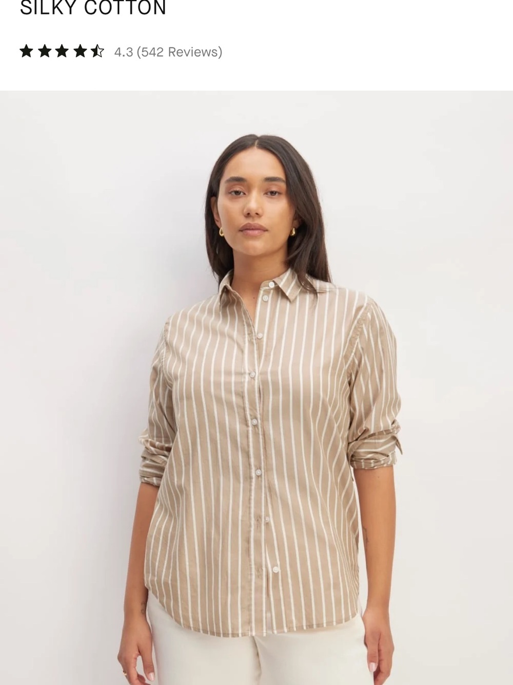 Everlane Must Have Silky Cotton Beige Stripe Shirt size 4 - Picture 2 of 11